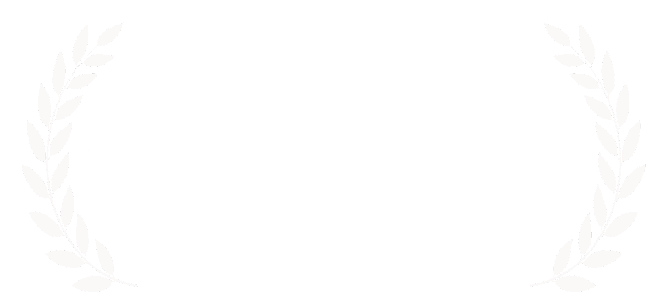 Awards_plug